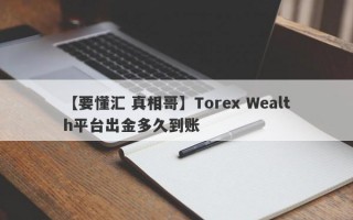 【要懂汇 真相哥】Torex Wealth平台出金多久到账
