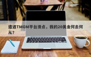 遭遇TMGM平台滑点，我的20美金何去何从？