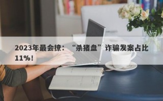 2023年最会撩：“杀猪盘”诈骗发案占比11%！