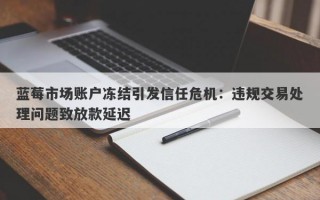 蓝莓市场账户冻结引发信任危机：违规交易处理问题致放款延迟