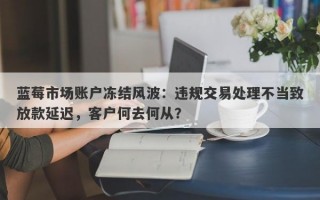 蓝莓市场账户冻结风波：违规交易处理不当致放款延迟，客户何去何从？