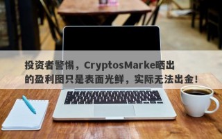 投资者警惕，CryptosMarke晒出的盈利图只是表面光鲜，实际无法出金！