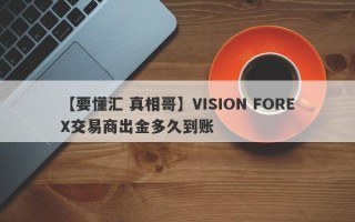 【要懂汇 真相哥】VISION FOREX交易商出金多久到账
