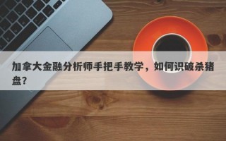 加拿大金融分析师手把手教学，如何识破杀猪盘？