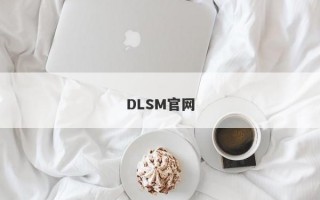 DLSM官网