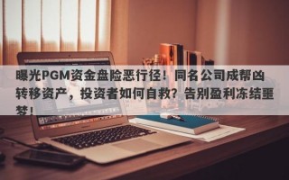 曝光PGM资金盘险恶行径！同名公司成帮凶转移资产，投资者如何自救？告别盈利冻结噩梦！