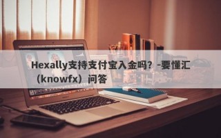 Hexally支持支付宝入金吗？-要懂汇（knowfx）问答