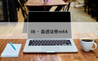 IB · 盈透证券mt4