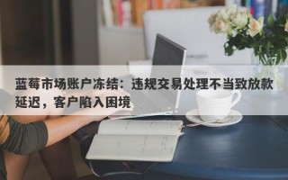 蓝莓市场账户冻结：违规交易处理不当致放款延迟，客户陷入困境