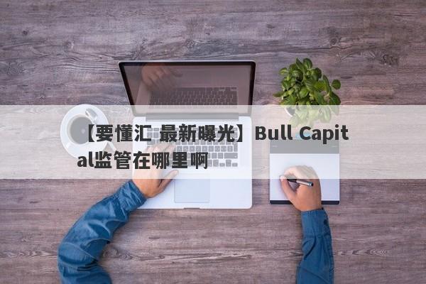 【要懂汇 最新曝光】Bull Capital监管在哪里啊
-第1张图片-要懂汇圈网