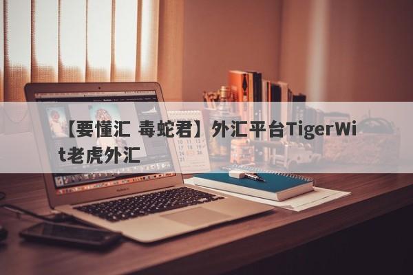 【要懂汇 毒蛇君】外汇平台TigerWit老虎外汇
-第1张图片-要懂汇圈网