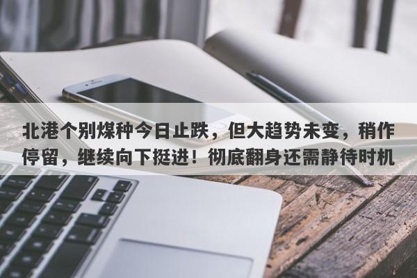 北港个别煤种今日止跌，但大趋势未变，稍作停留，继续向下挺进！彻底翻身还需静待时机-第1张图片-要懂汇圈网