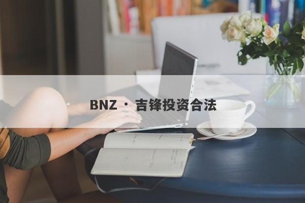 BNZ · 吉锋投资合法-第1张图片-要懂汇圈网