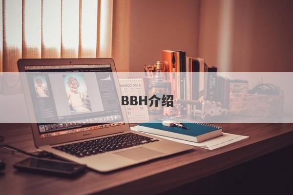 BBH介绍-第1张图片-要懂汇圈网