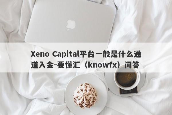 Xeno Capital平台一般是什么通道入金-要懂汇（knowfx）问答-第1张图片-要懂汇圈网