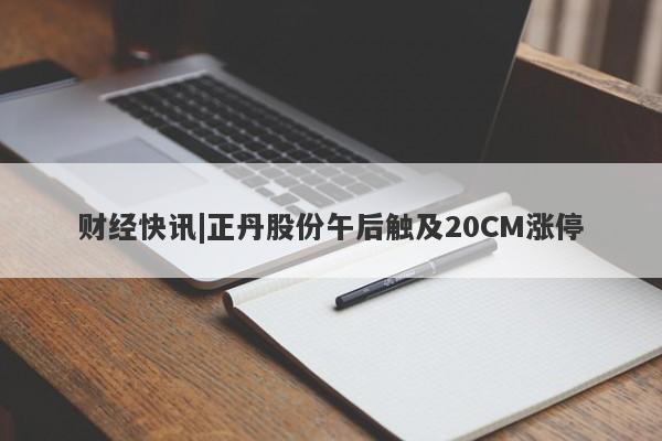 财经快讯|正丹股份午后触及20CM涨停-第1张图片-要懂汇圈网