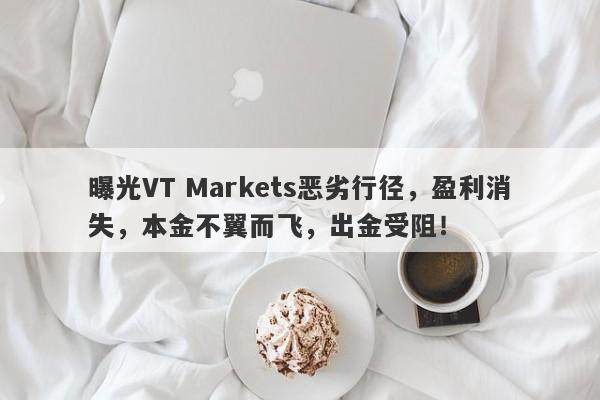 曝光VT Markets恶劣行径，盈利消失，本金不翼而飞，出金受阻！-第1张图片-要懂汇圈网