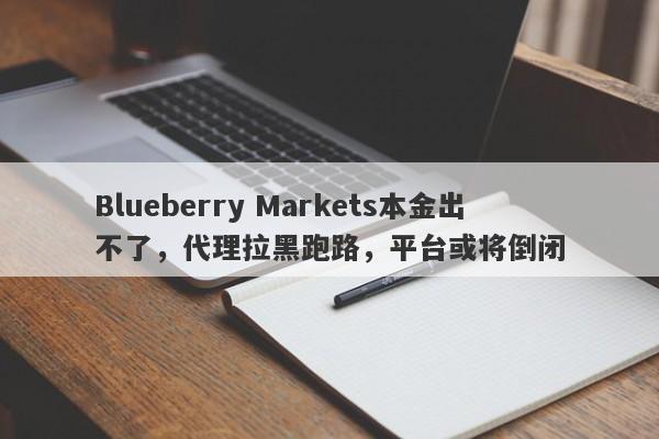 Blueberry Markets本金出不了，代理拉黑跑路，平台或将倒闭-第1张图片-要懂汇圈网