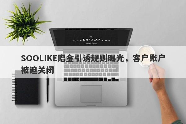 SOOLIKE赠金引诱规则曝光，客户账户被迫关闭-第1张图片-要懂汇圈网